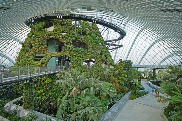 Cloud_Forest_Gardens_by_the_Bay_Singapore_-_20120617-05