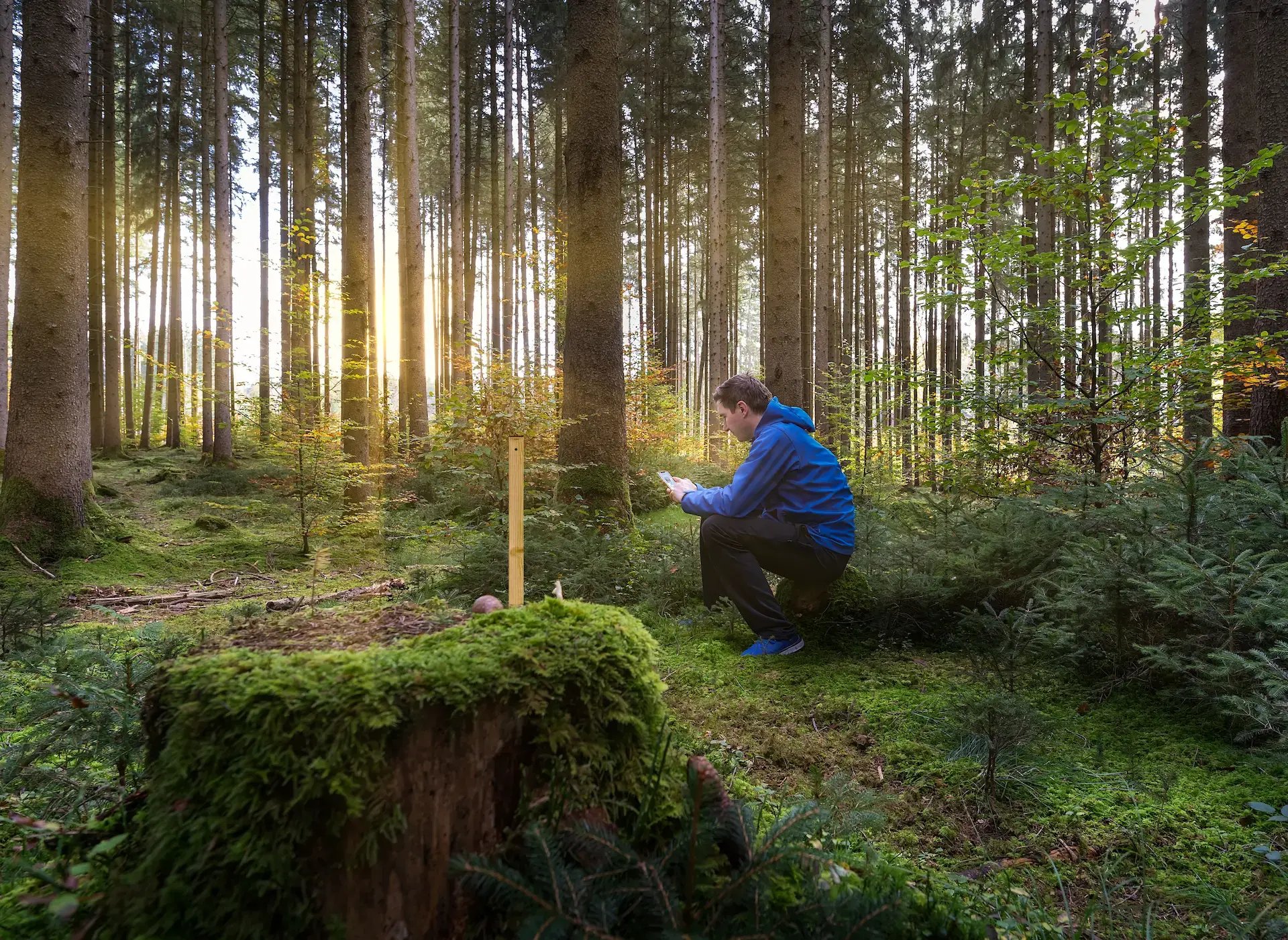 ECO_LINK_WOODEN_POST_EVO-1